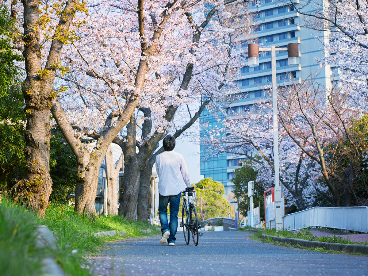 【春】中ふ頭駅周辺の桜並木を散策して、春のアーバンリゾートステイをご満喫ください。