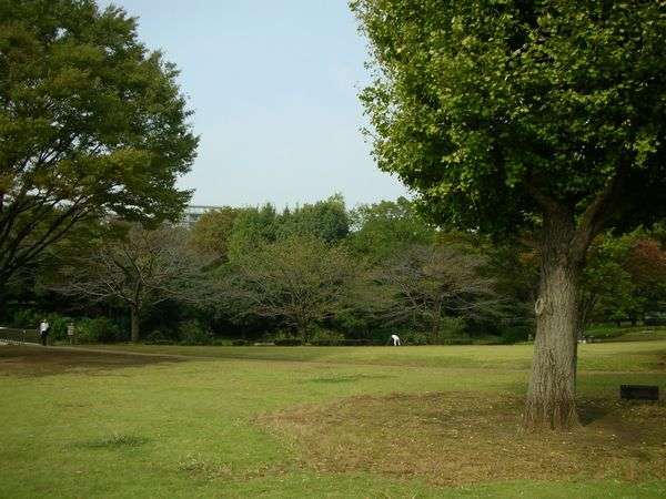 環境・風景