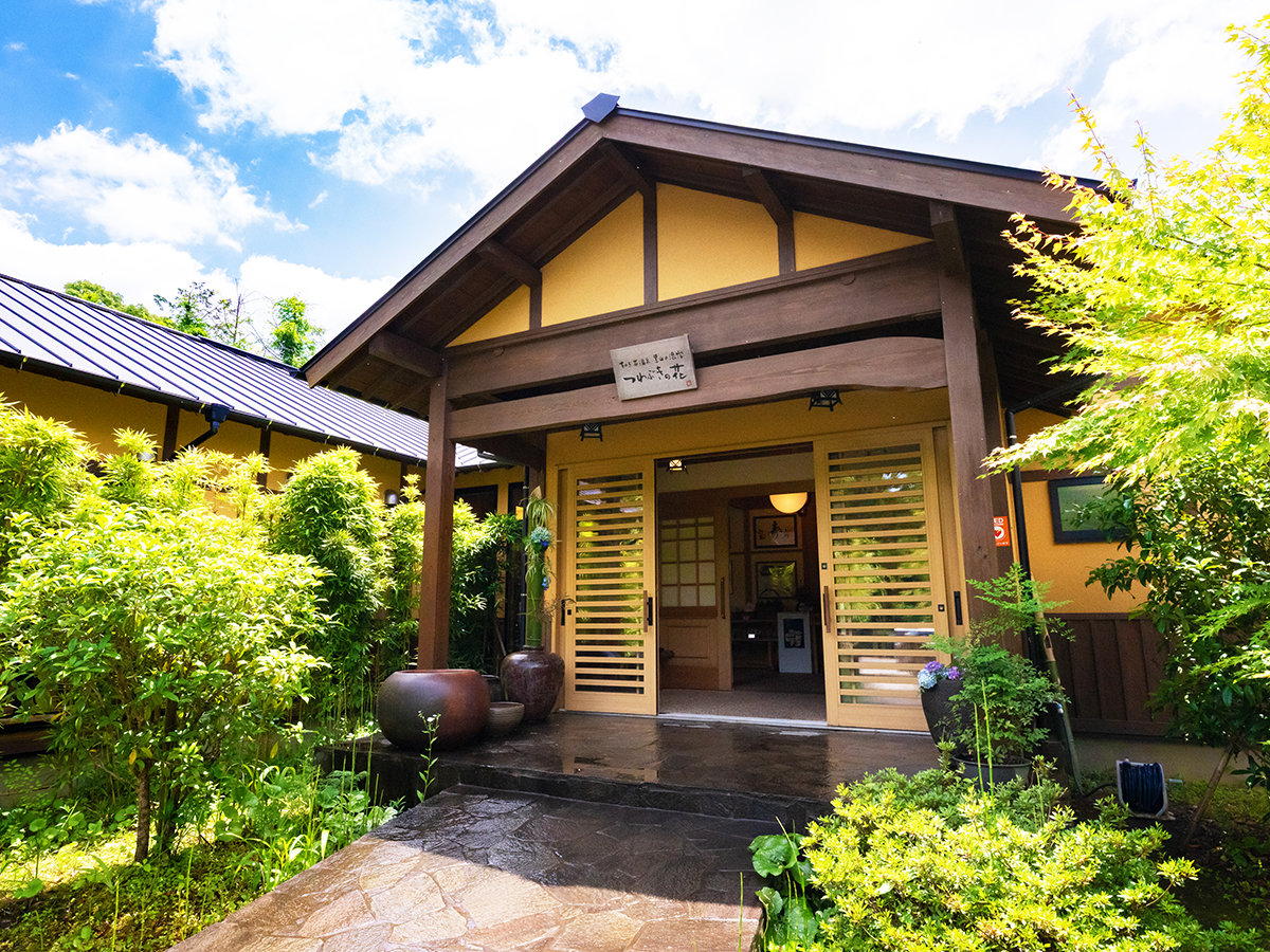 つわぶきの花の外観