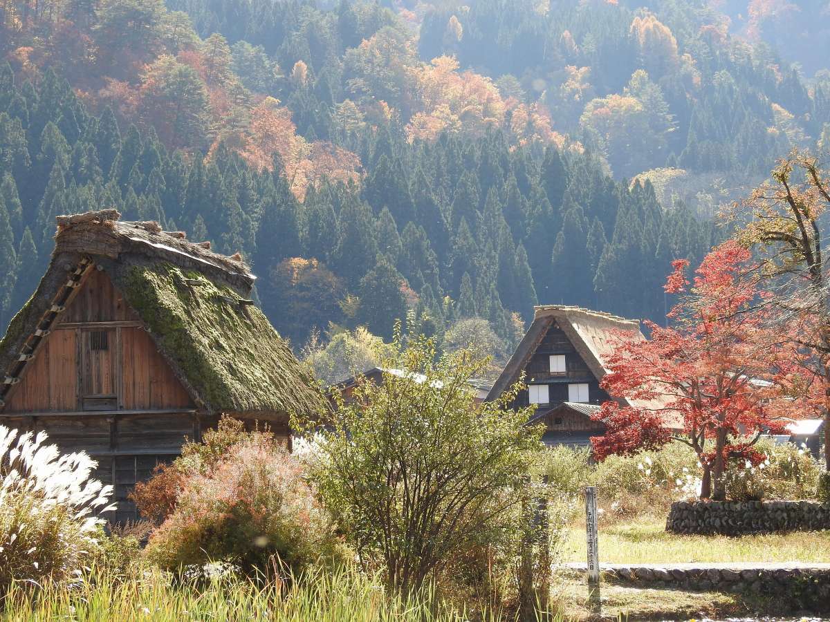 落ち葉舞う静かな日本の原風景。