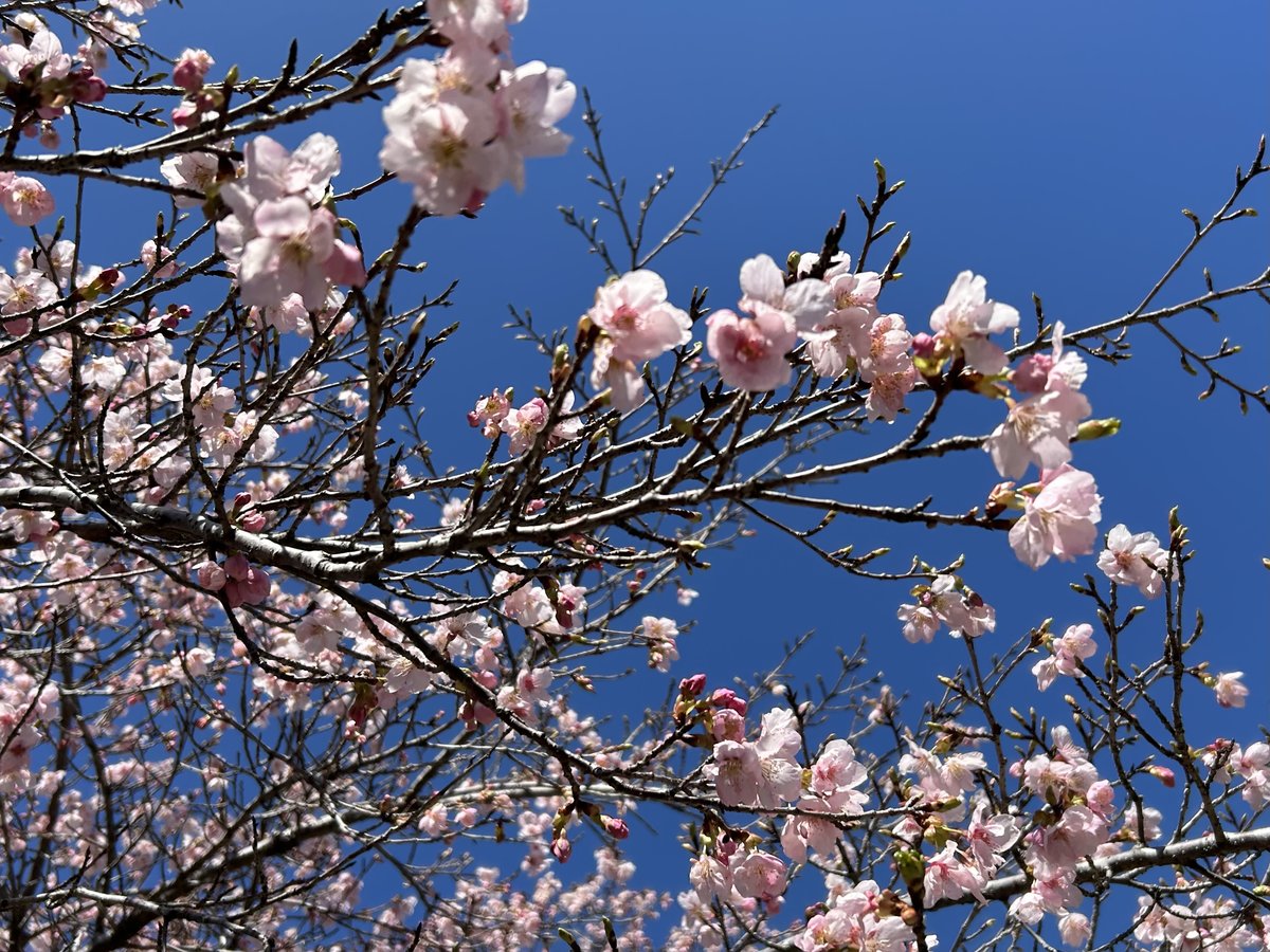 주변・경관