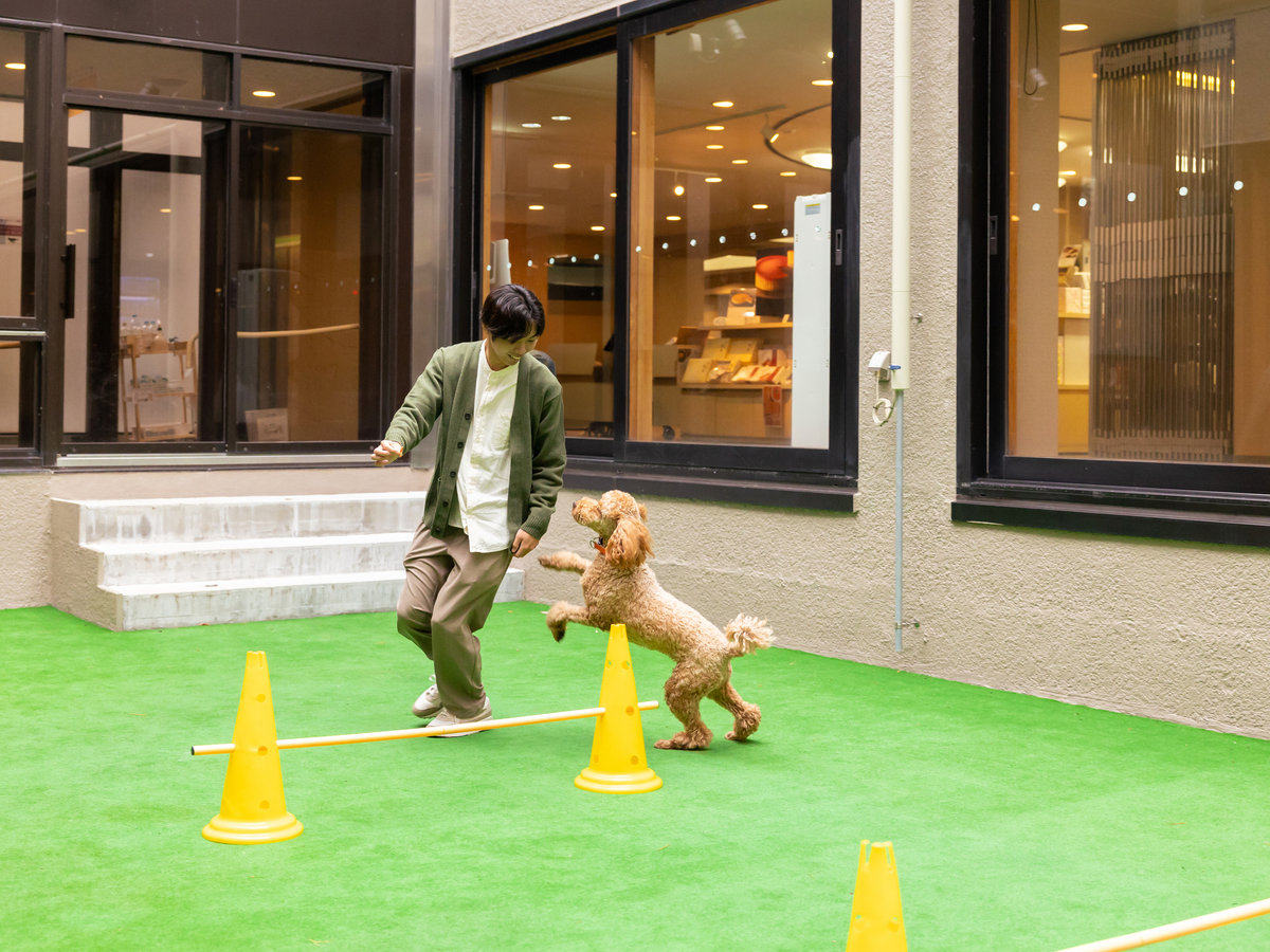 わんわんパラダイス プレミア 塩原の中庭ドッグラン