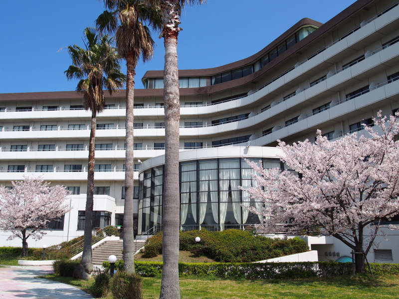 【3月下旬～4月上旬頃】ホテル到着までの坂道、プールサイドでは桜をご覧いただけます。