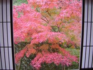 Yugawara Ohnoya Ryokan Ryokans Rooms Rates Yugawara - 