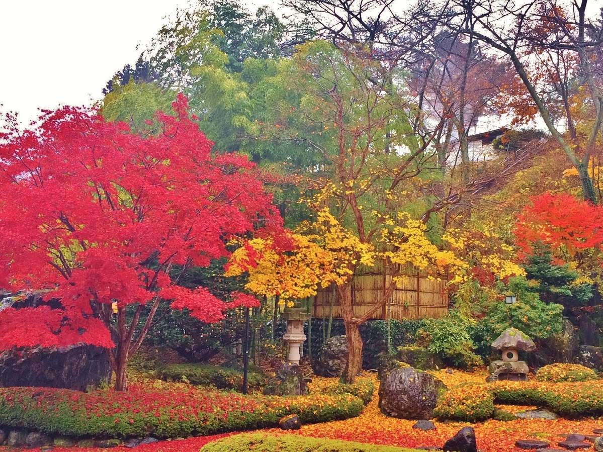 秋　丸峰の日本庭園