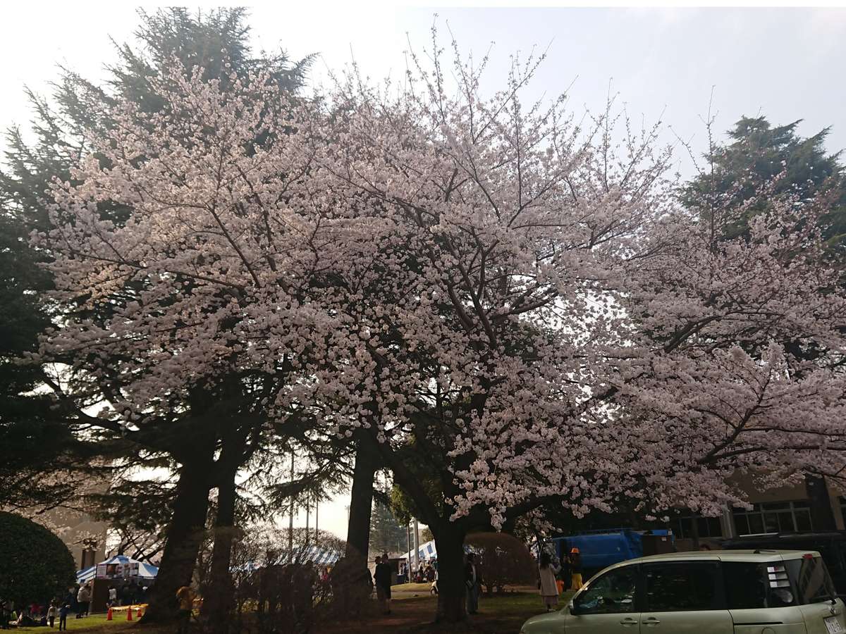 บริเวณโดยรอบ・ทิวทัศน์