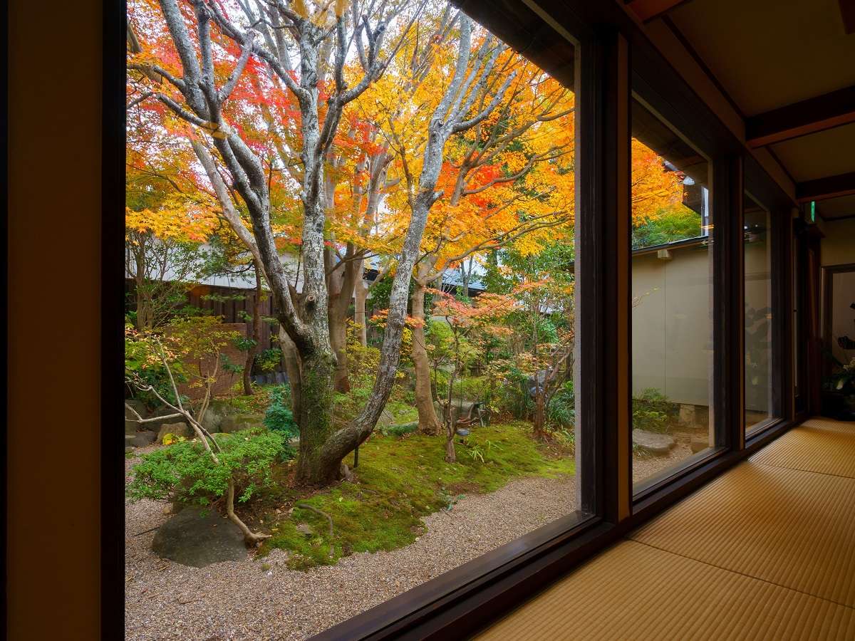 ロビーから見る中庭の風景（秋）。入口をくぐるときれいな風景がお迎えいたします。