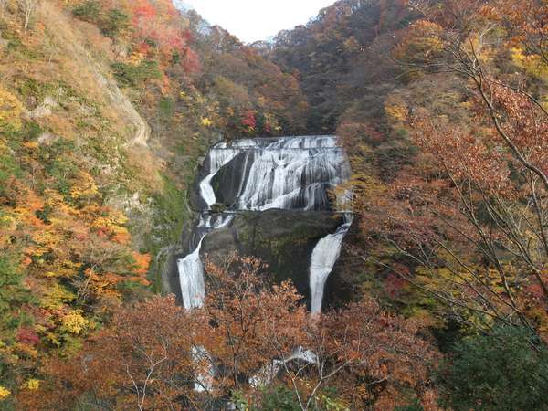 名瀑　袋田の滝の紅葉