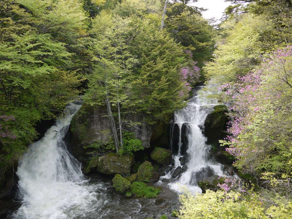 環境・風景