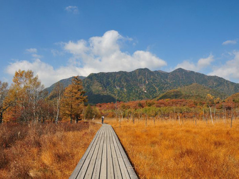 環境・風景