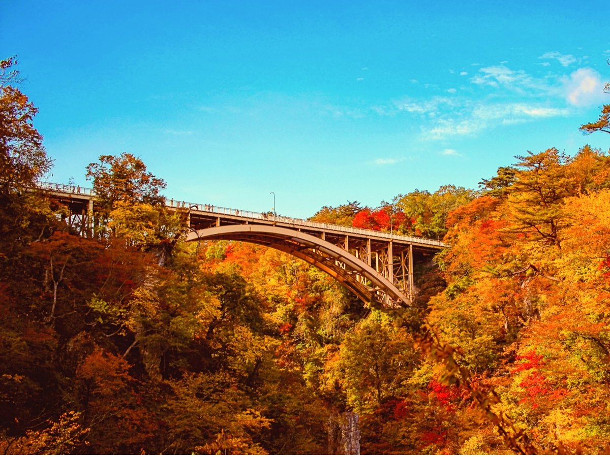紅葉の「鳴子峡」。(見頃は例年10月下旬から11月上旬。気候状況によって変動します)
