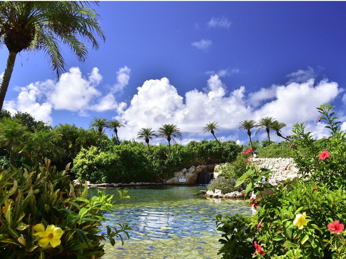 【シギラ黄金温泉（リゾート内）】/水着着用のジャングルプールは温水なので1年中ご利用可能です。