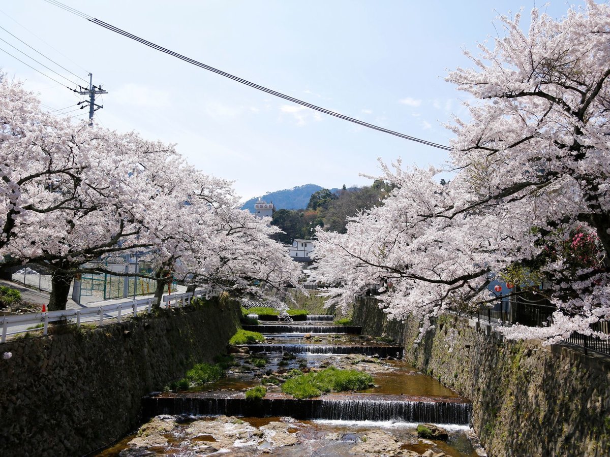 環境・風景