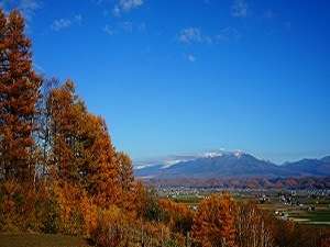 環境・風景