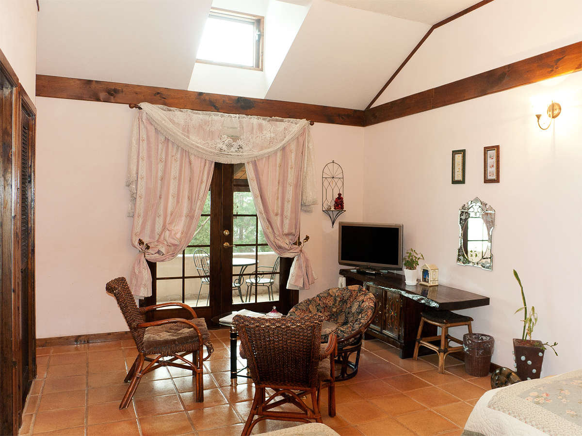 Ｂタイプの客室。全床テラコッタ、塗り壁仕様のお洒落なワンルームタイプ。