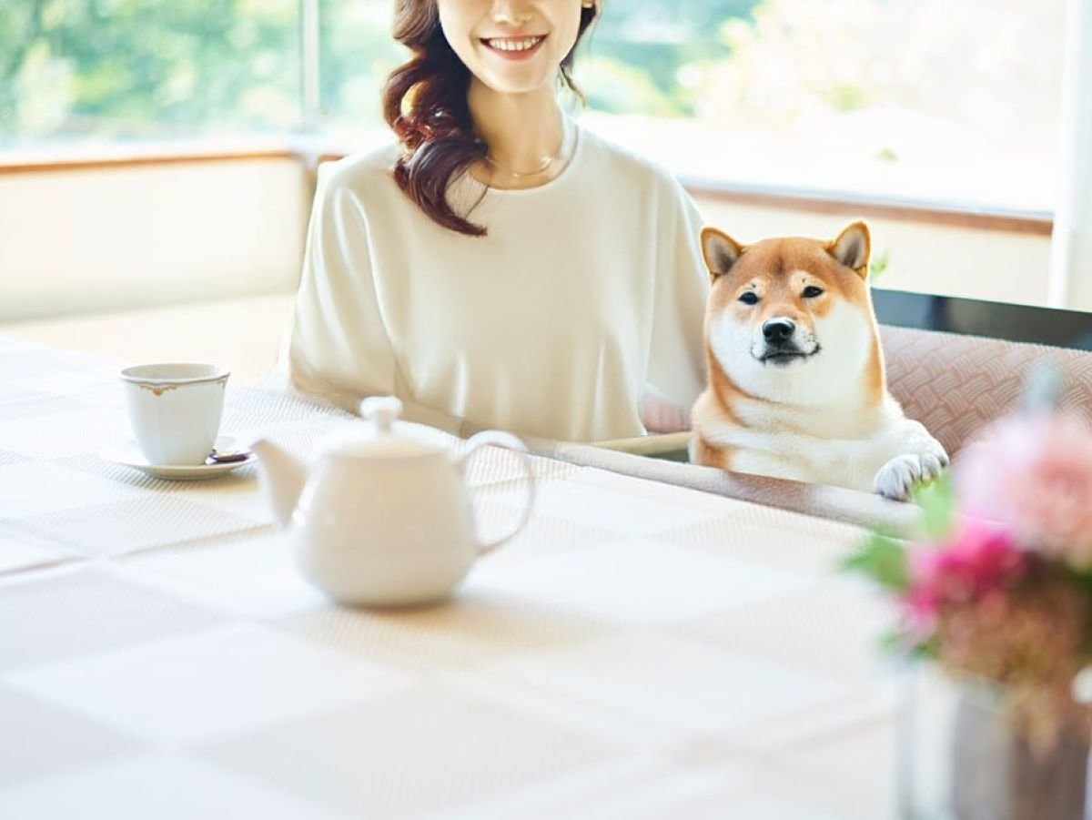 リブマックスリゾート那須高原のレストランで愛犬と食事
