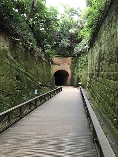 Surroundings・Views