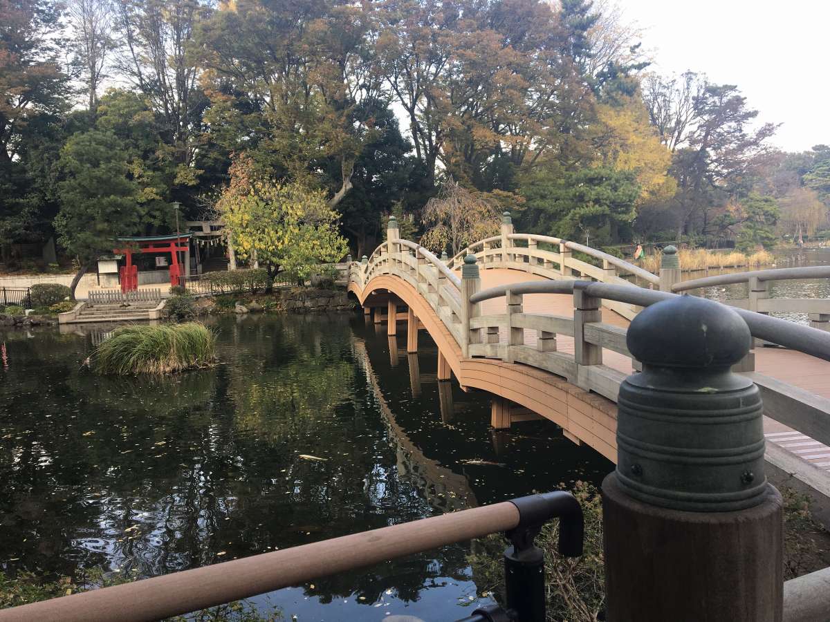 Surroundings・Views