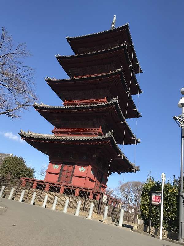 Surroundings・Views