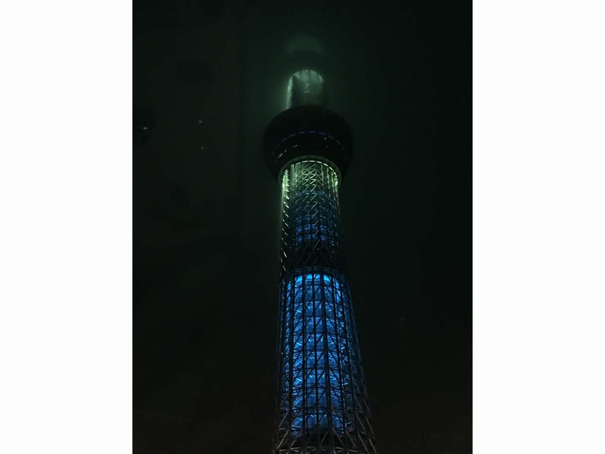 Surroundings・Views