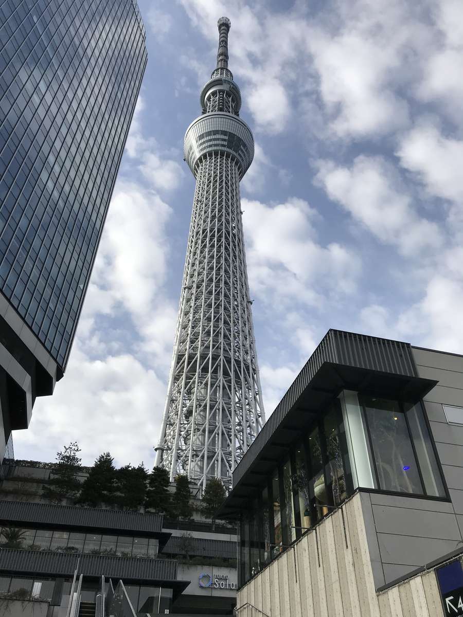 Surroundings・Views