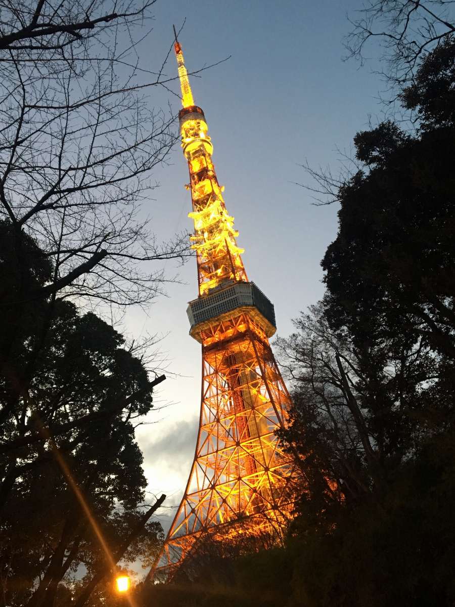 Surroundings・Views