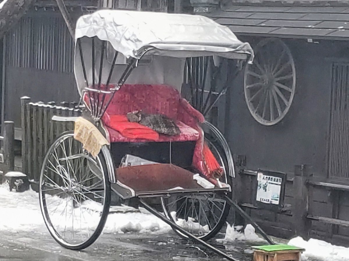주변・경관