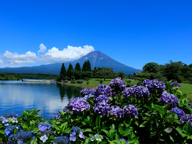 Surroundings・Views