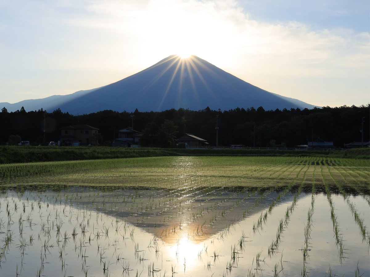 Surroundings・Views