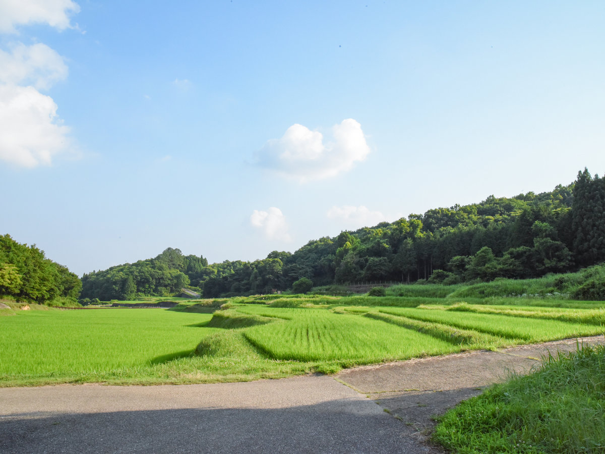 那須 馬頭温泉郷 小砂温泉ホテル美玉の湯