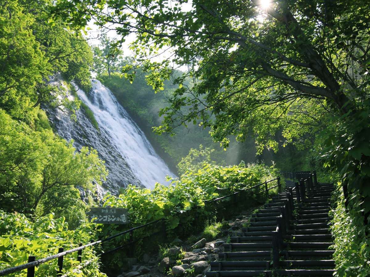 【知床八景】オシンコシンの滝。日本の滝100選にも選ばれています。