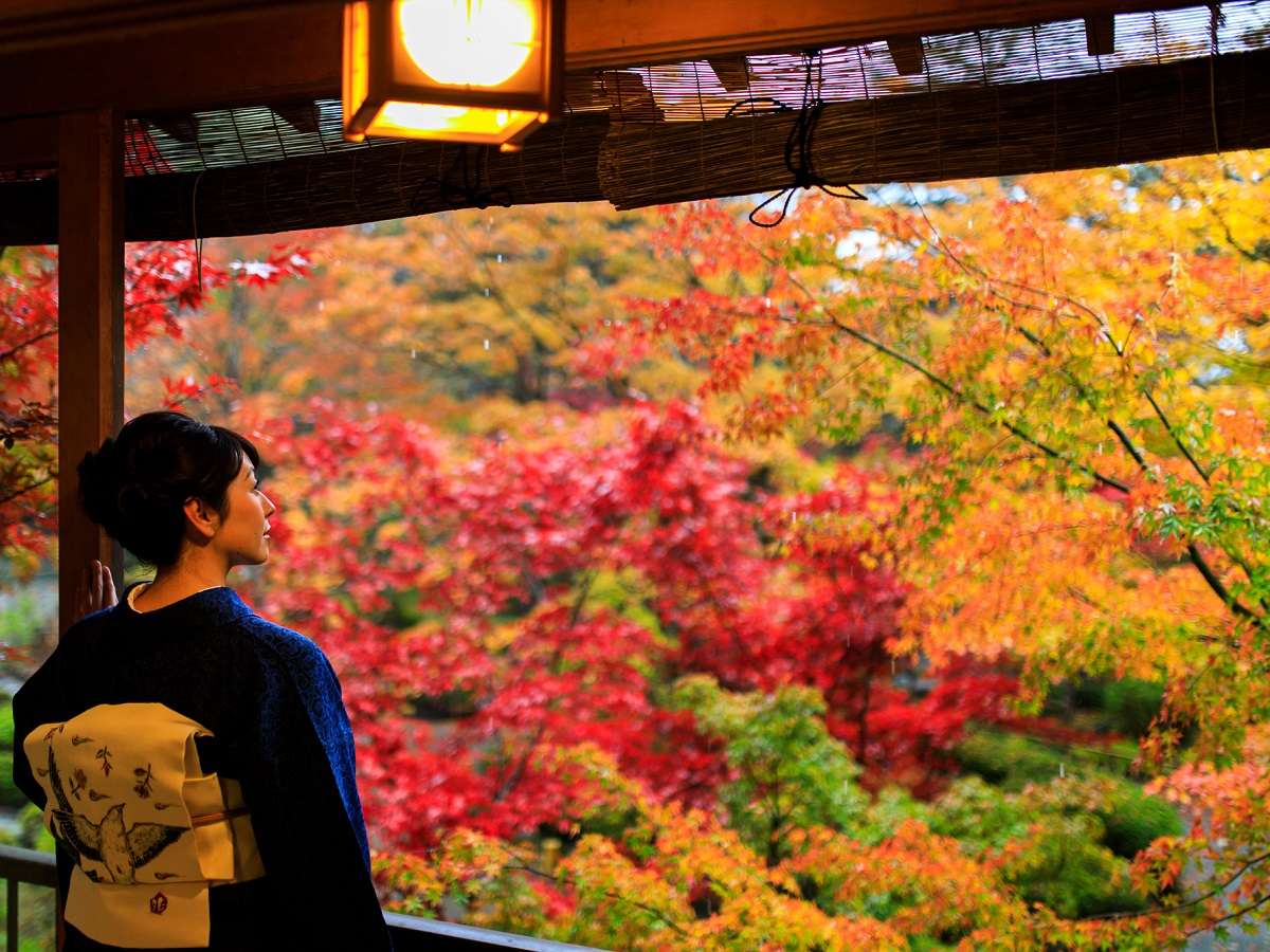 秋の庭園忍庵で寛ぐひととき／紅葉は１０月下旬～１１月中旬頃