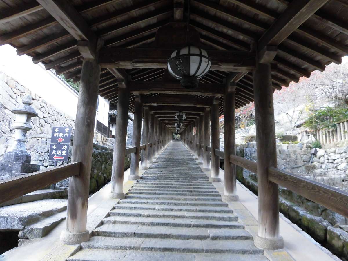 <長谷寺>奈良県桜井市。「花の御寺」と称され、桜、牡丹、あじさい、紅葉など四季を通して花を楽しめます。