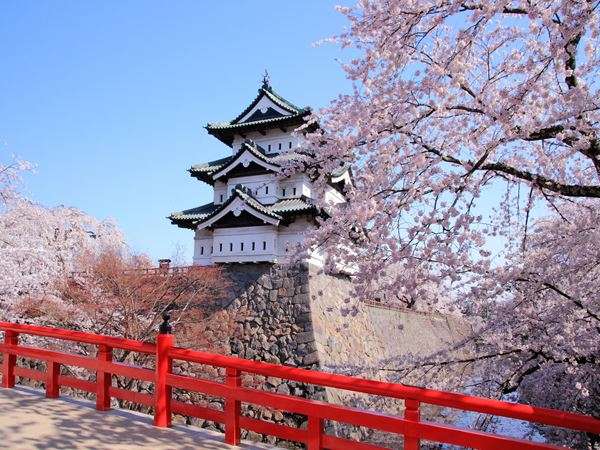 【春の弘前】朱の欄干が印象的な下乗橋から眺める天守閣と満開の桜は弘前城観光のハイライト