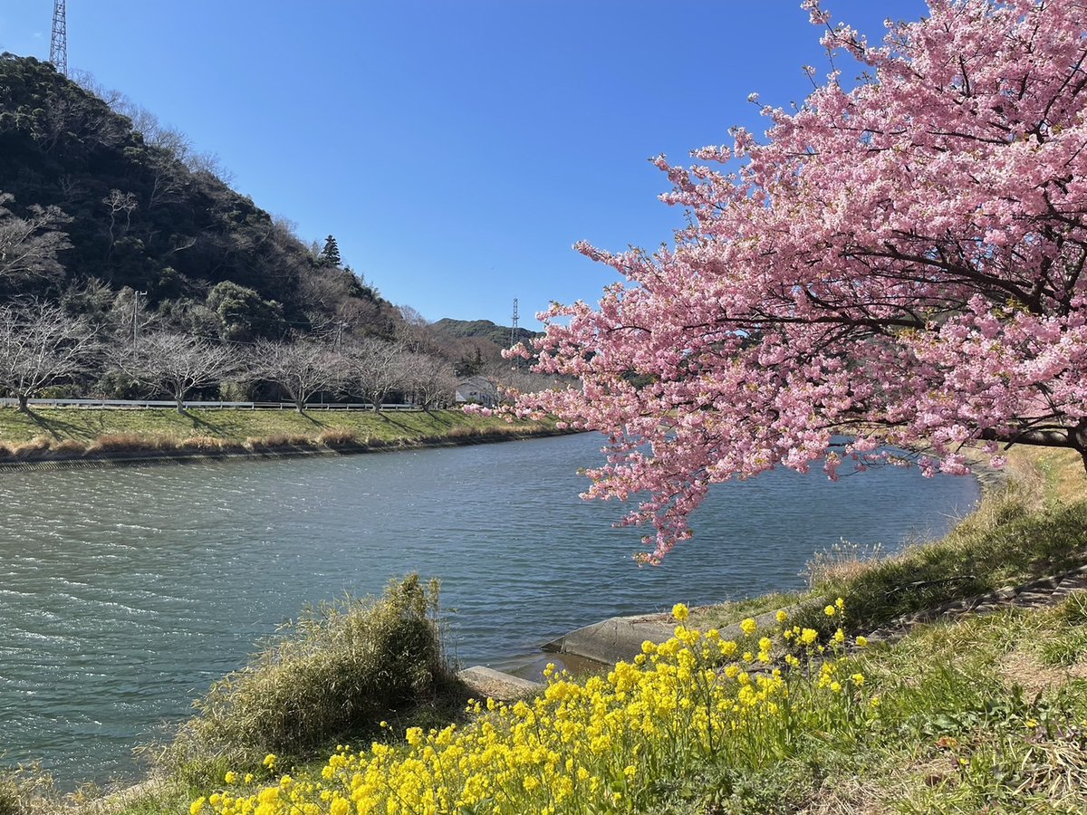 Surroundings・Views