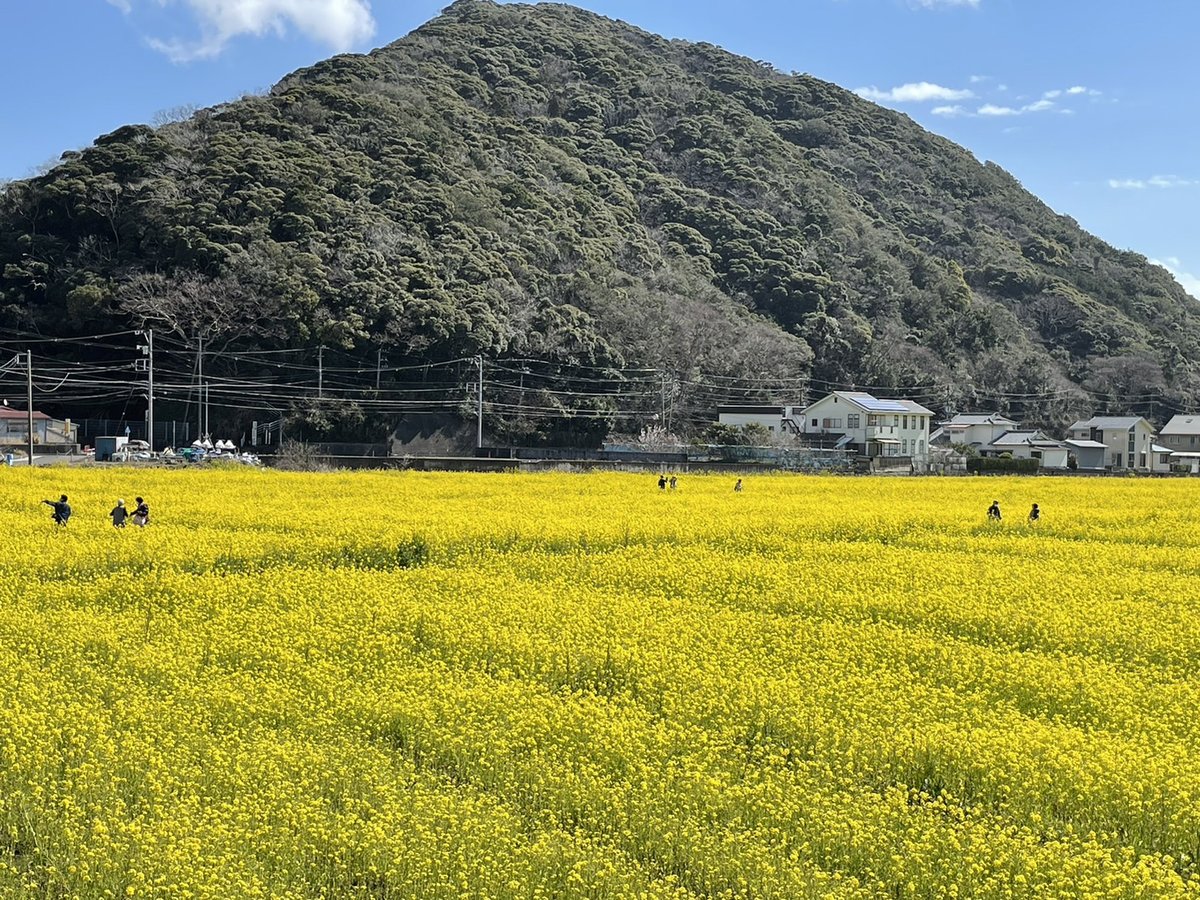 Surroundings・Views