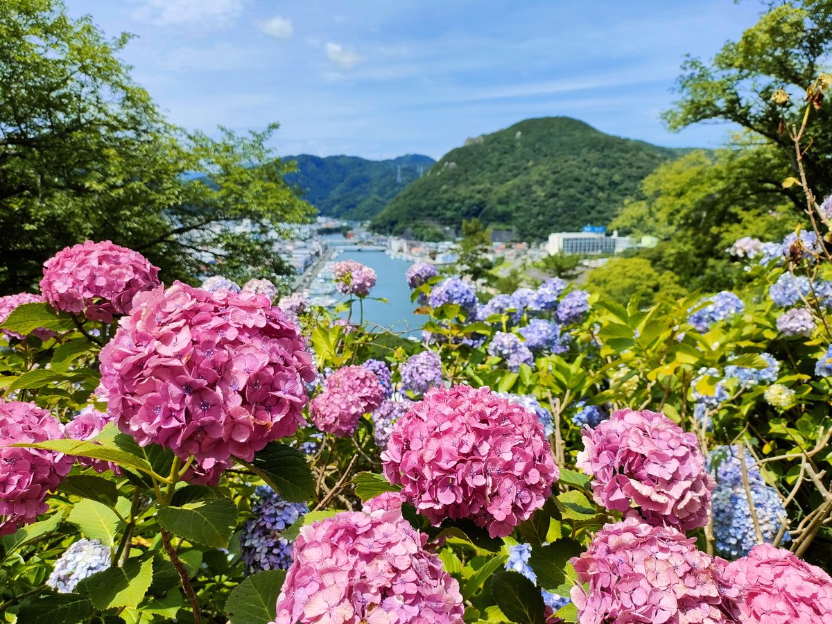 Surroundings・Views