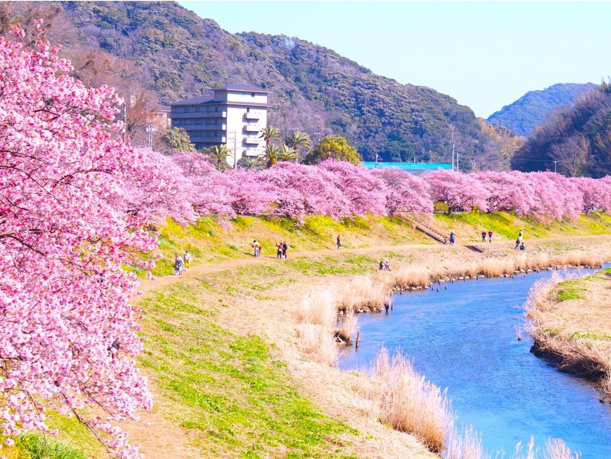 Surroundings・Views