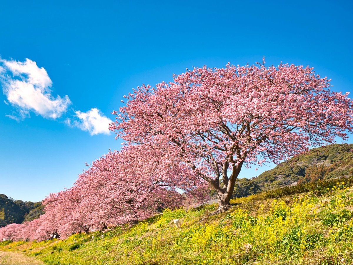 Surroundings・Views