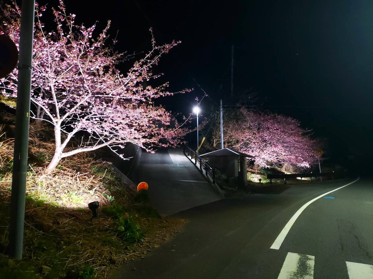 Surroundings・Views