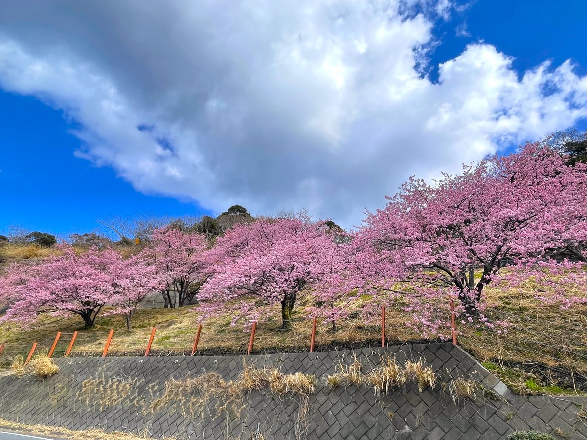 Surroundings・Views