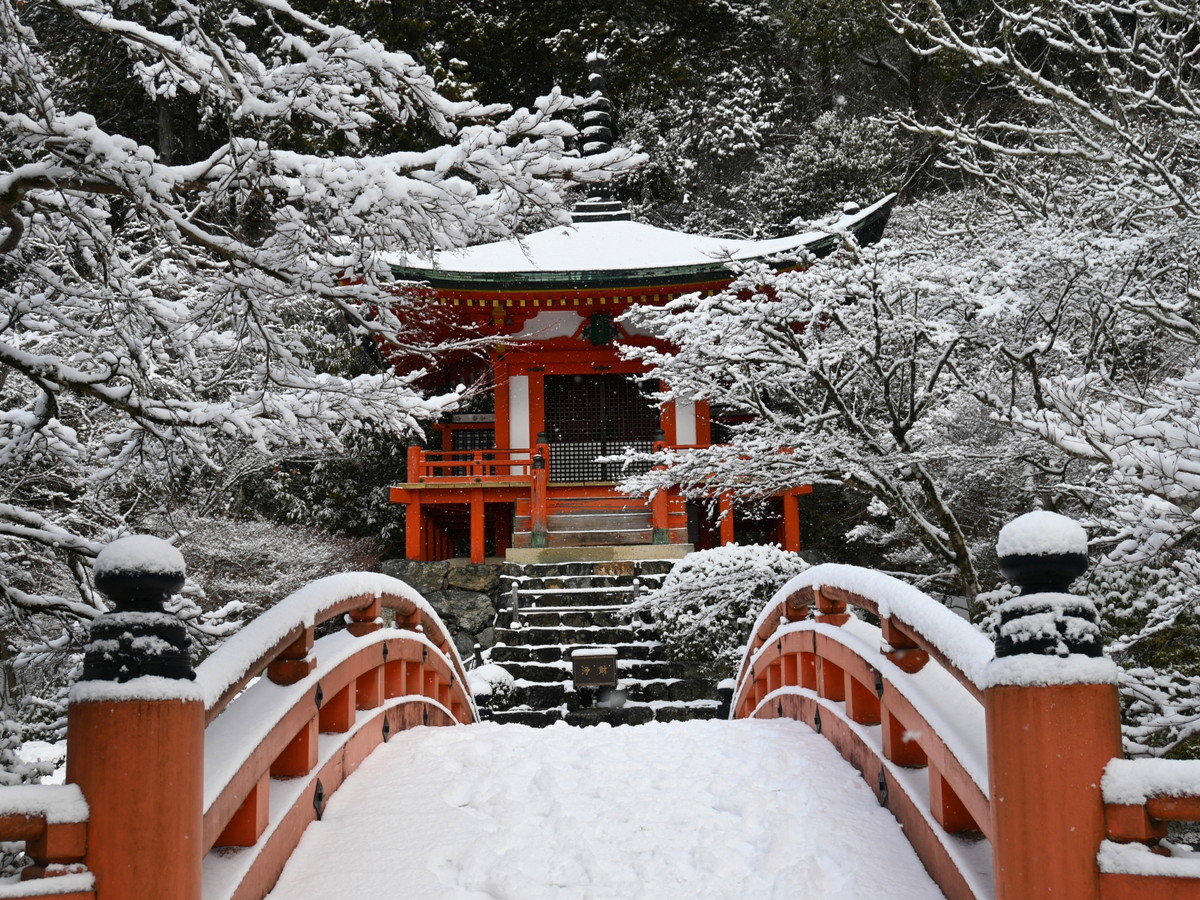 Surroundings・Views