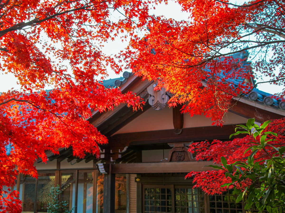 Surroundings・Views
