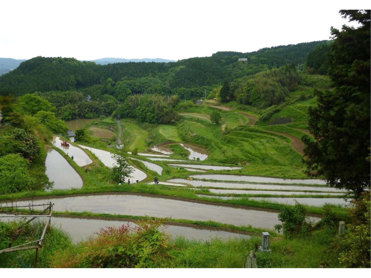 宿の近くに日本１００選に入る北庄棚田があります。
