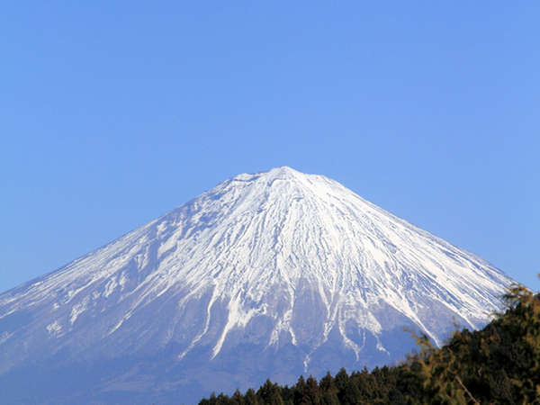 *雄大な富士山が眼前に迫ります。