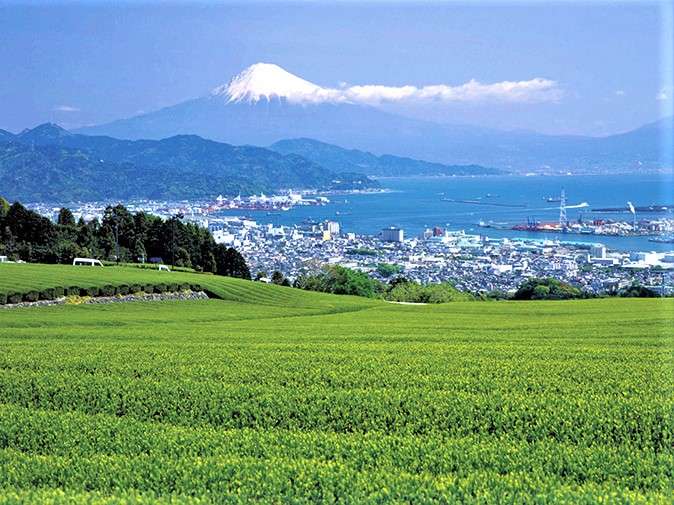 環境・風景