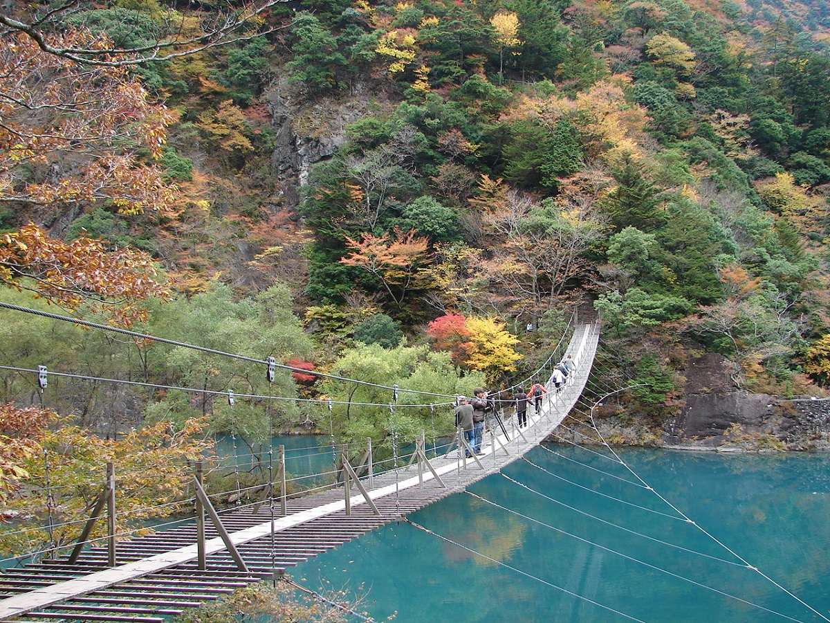 環境・風景