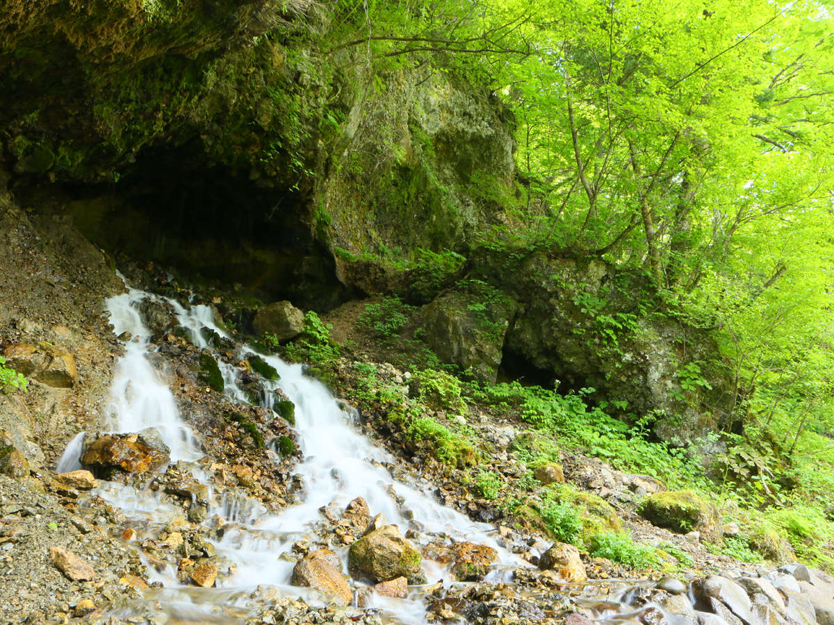 Surroundings・Views