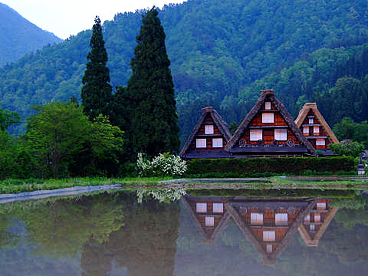 Surroundings・Views
