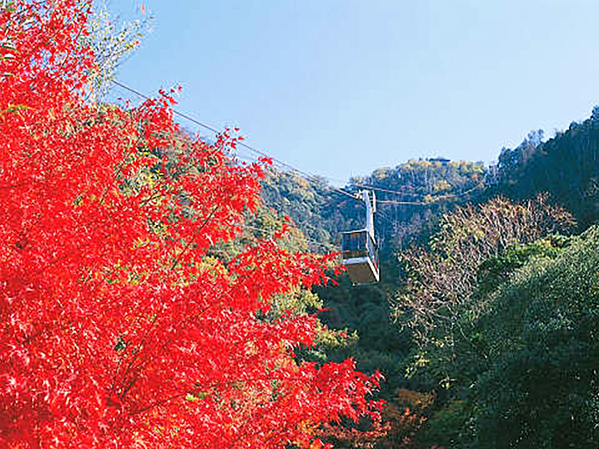 Surroundings・Views